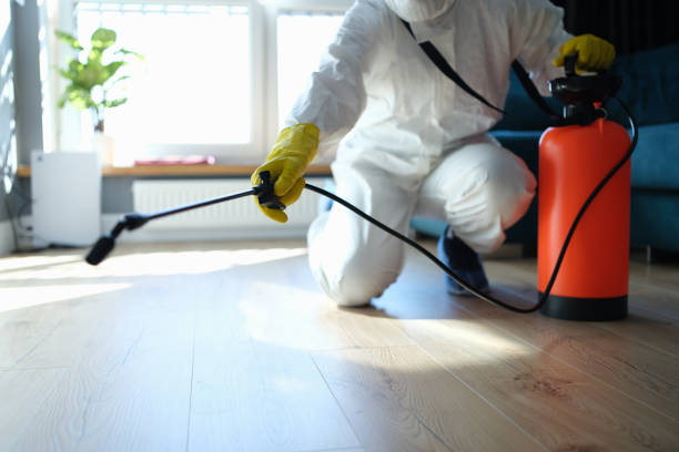 Reliable Infectious Disease Decontamination contractor in Evans, CO by Trauma Clean Pros